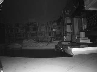 voyeurcam bridgetleewalters 02